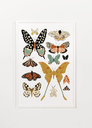 Butterfly Collector Art (Portrait) Clementine Kids