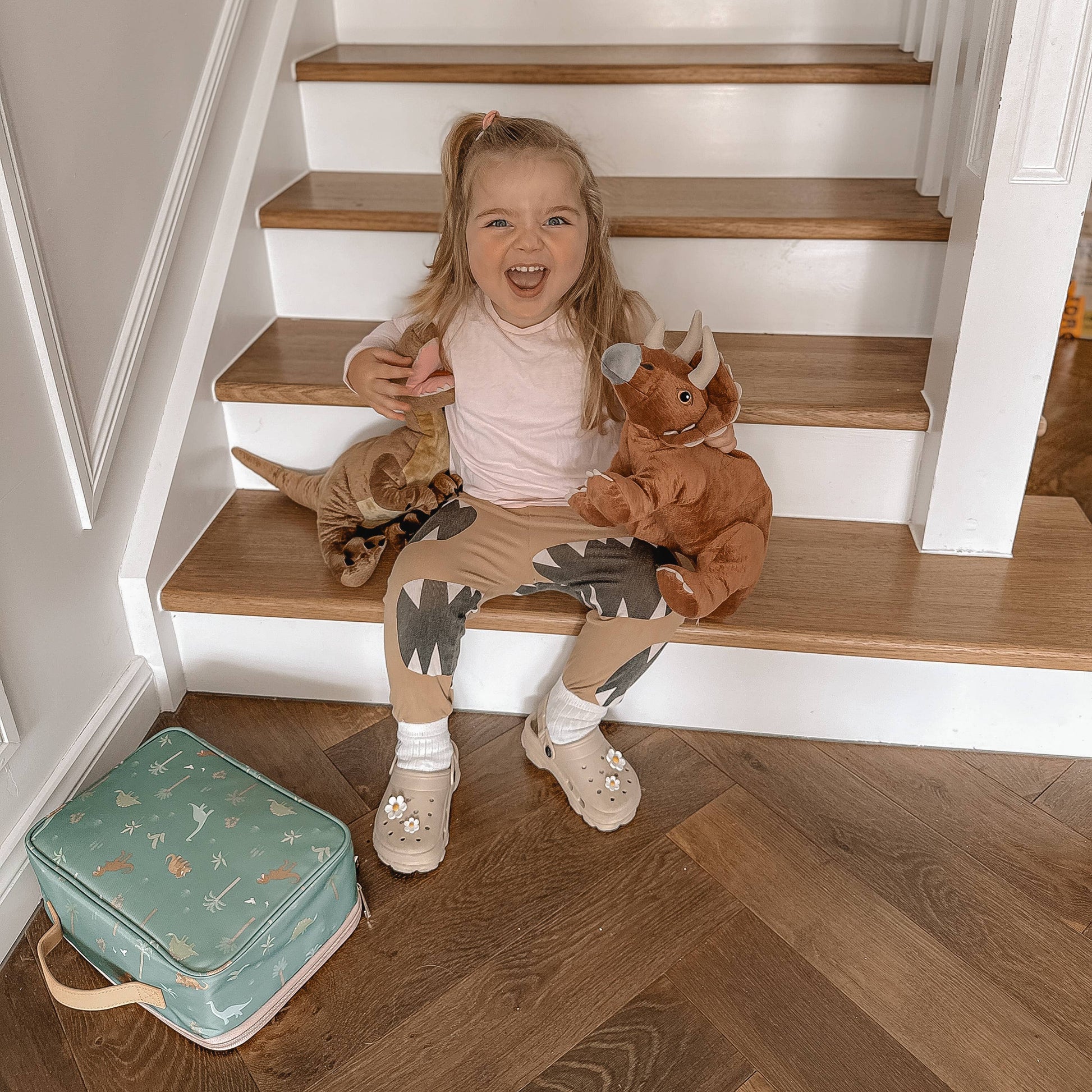 Dinos Lunch Bag Fox & Fallow