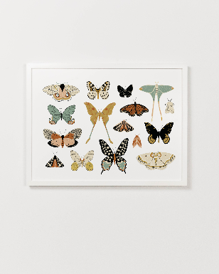 Butterfly Collector Art (Landscape) Clementine Kids