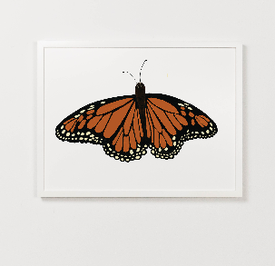 Monarch Butterfly Art Clementine Kids
