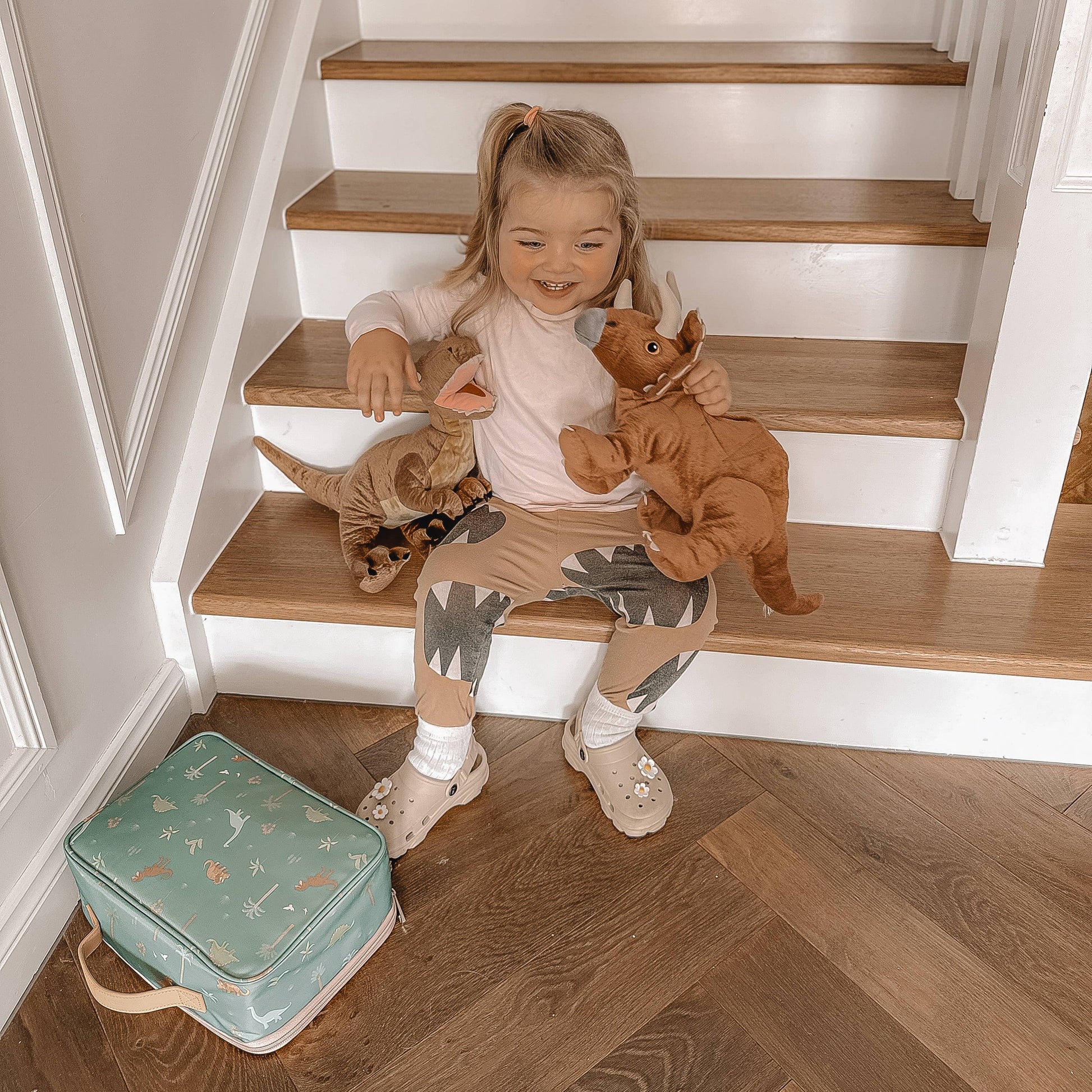 Dinos Lunch Bag Fox & Fallow