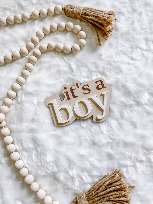 It’s a Boy Gender Reveal Announcement Sign Claire and Bella