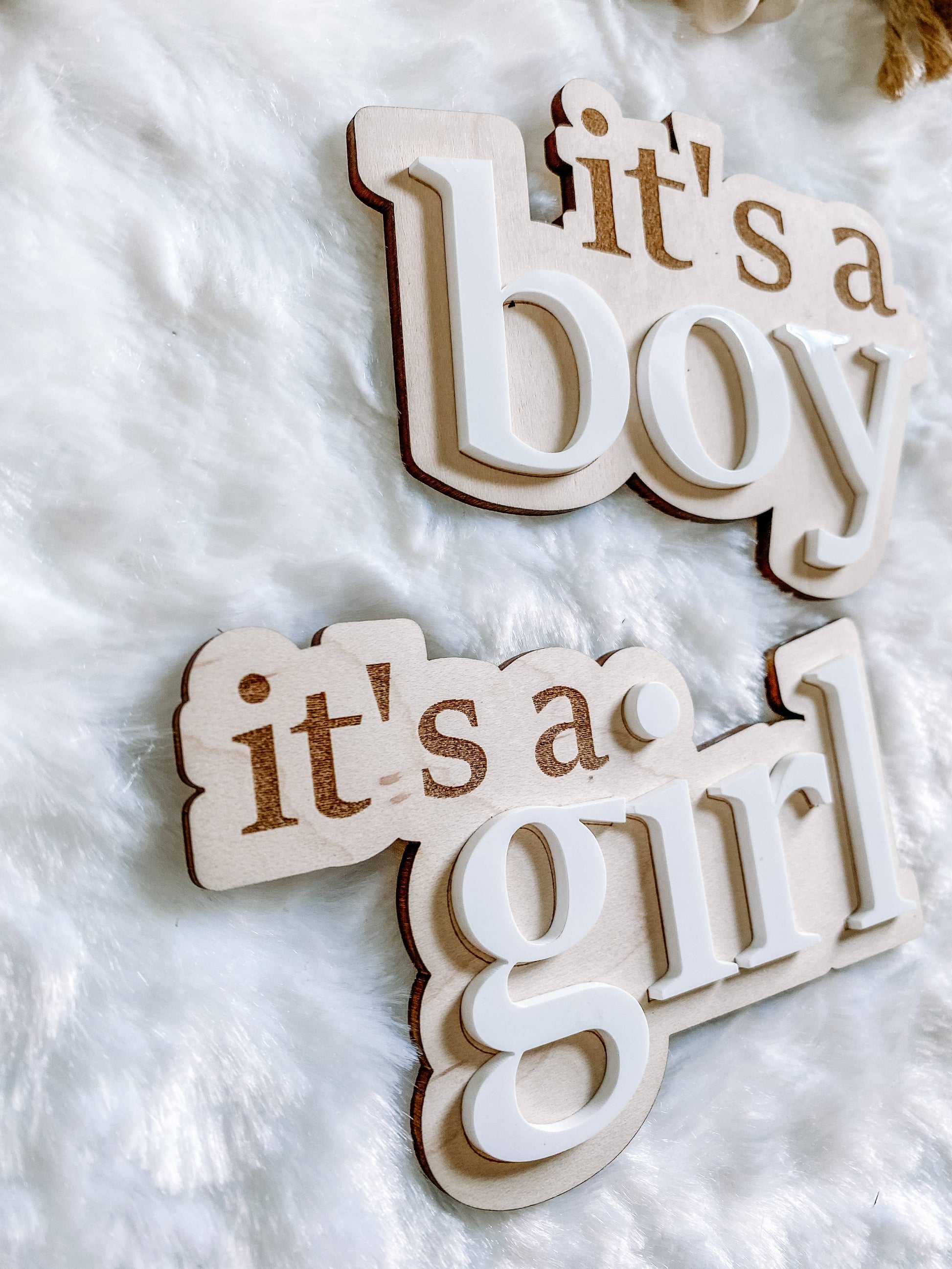 It’s a Girl Gender Reveal Announcement Sign Claire and Bella