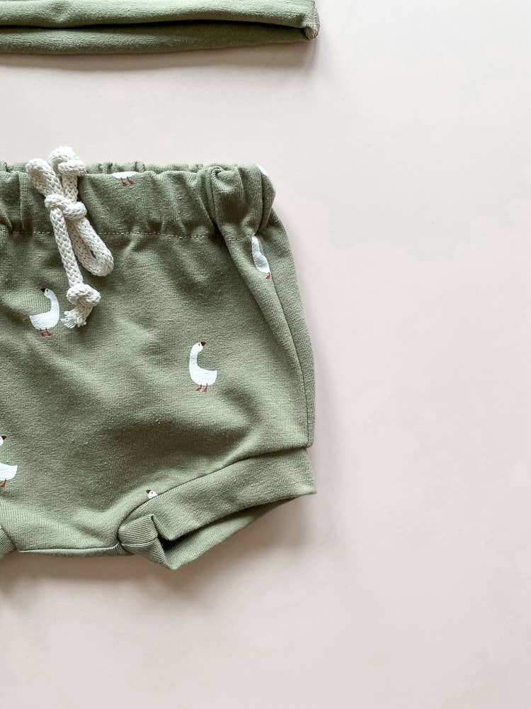 Baby boy shorts / ducks